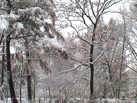 spis.php?category_id=102