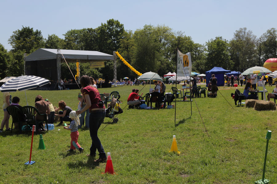 spis.php?category_id=431