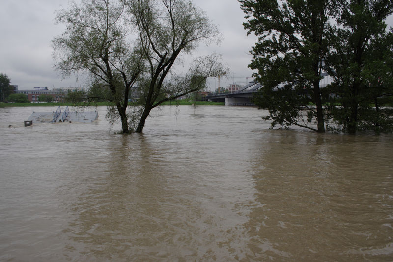 spis.php?category_id=432