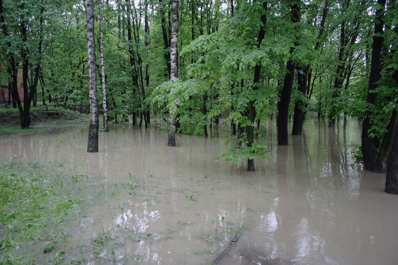 spis.php?category_id=432