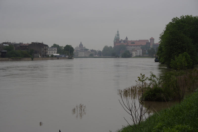 spis.php?category_id=432