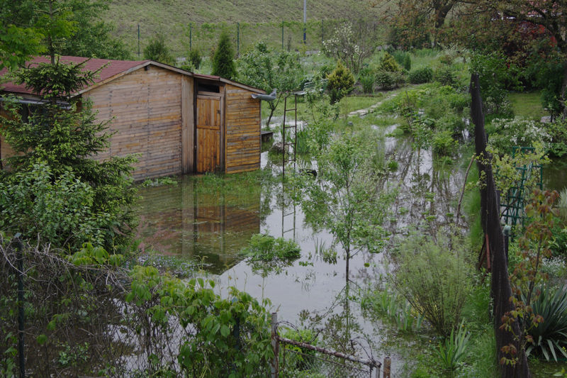 spis.php?category_id=432