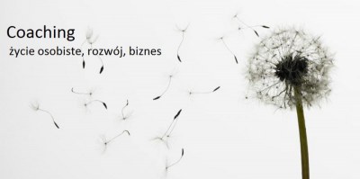 powiększ